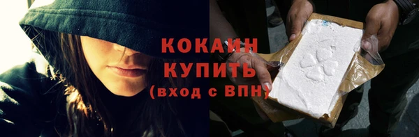твердый Дегтярск