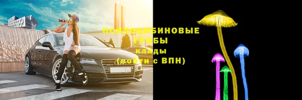 альфа пвп Нефтегорск