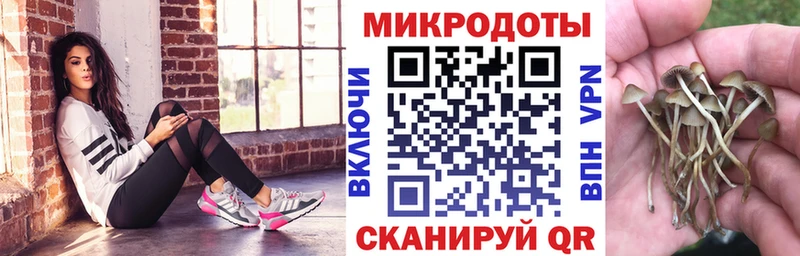 блэк спрут рабочий сайт  где купить наркотик  Калтан  Галлюциногенные грибы мицелий 