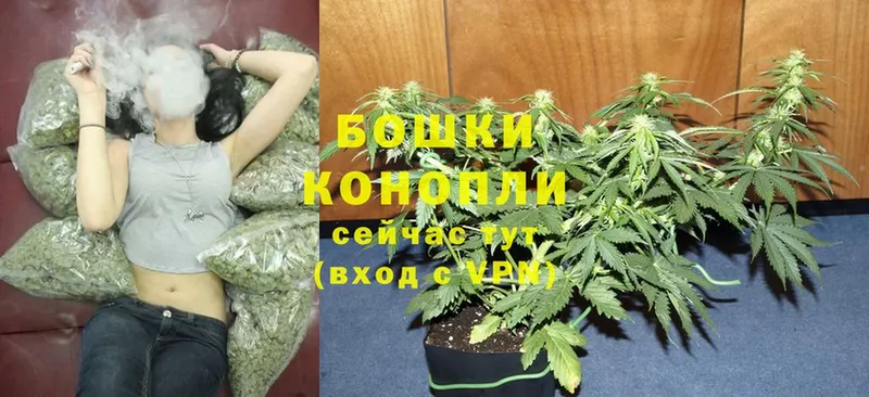 МЕГА ссылки  Калтан  Бошки Шишки SATIVA & INDICA 